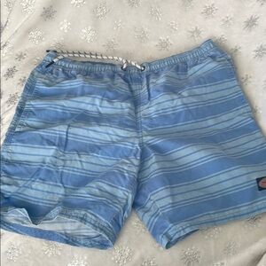 Vineyard Vines Blue Striped Men's Swim Shorts